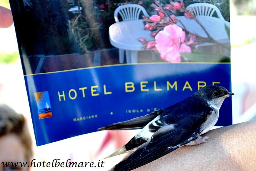 Hotel Belmare, Island of Elba